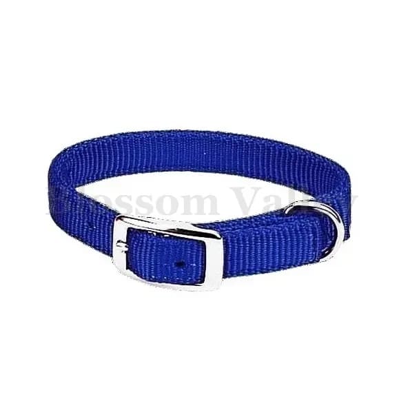 P.P. Tape Dog Collar — image 1 of 2
