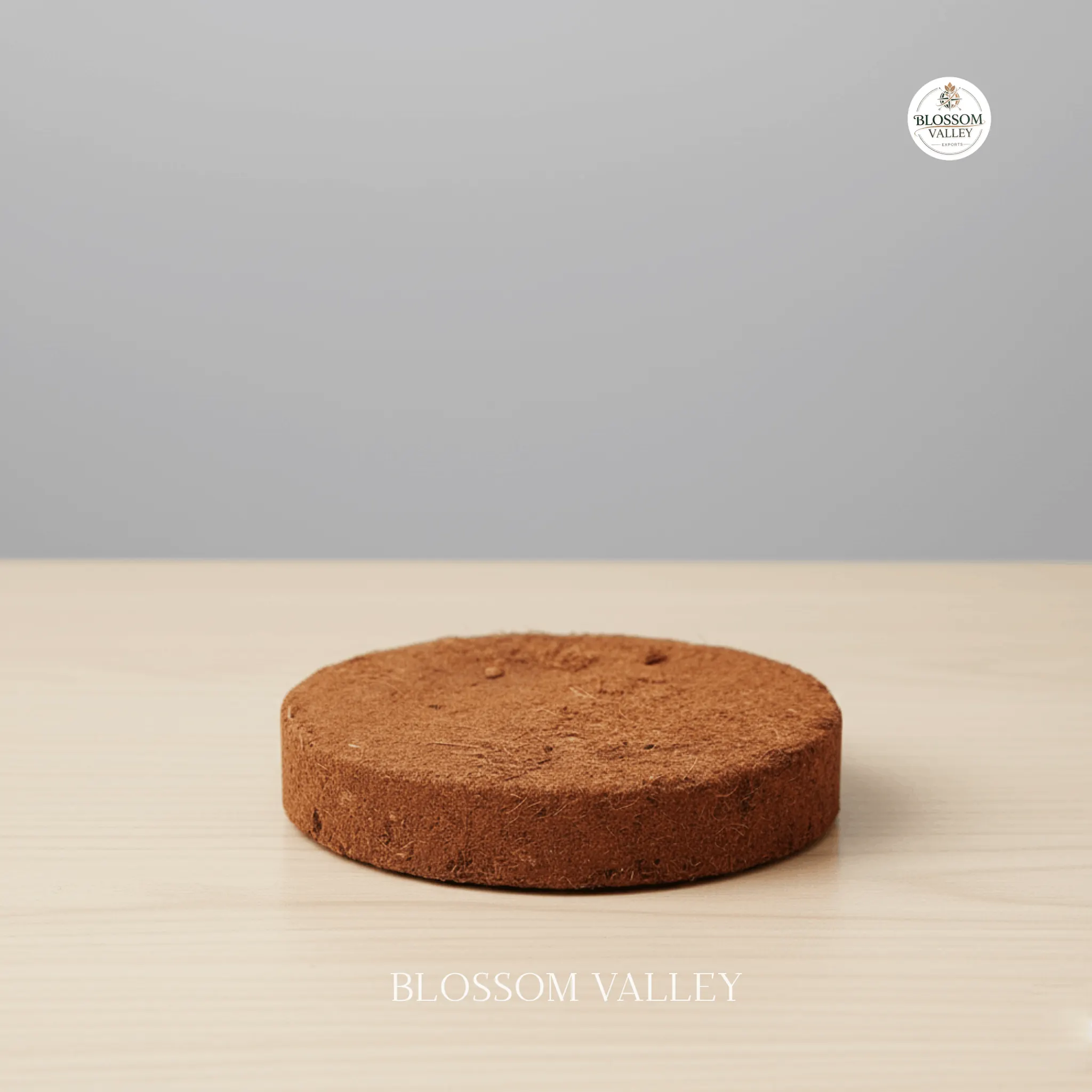 100mm Coco Peat Disc