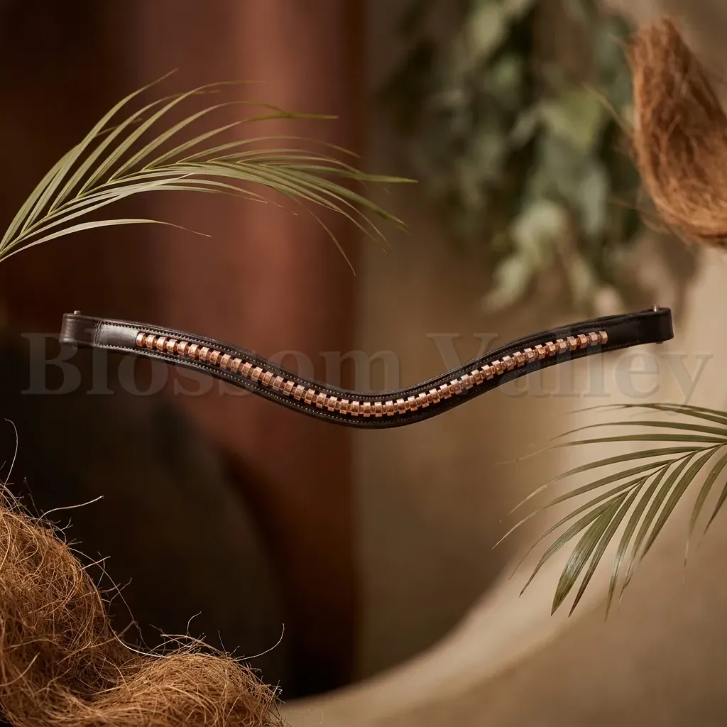 Golden Clincher Browband — image 2 of 2