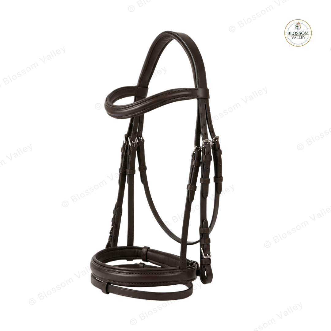 Detachable Noseband Jump Bridle