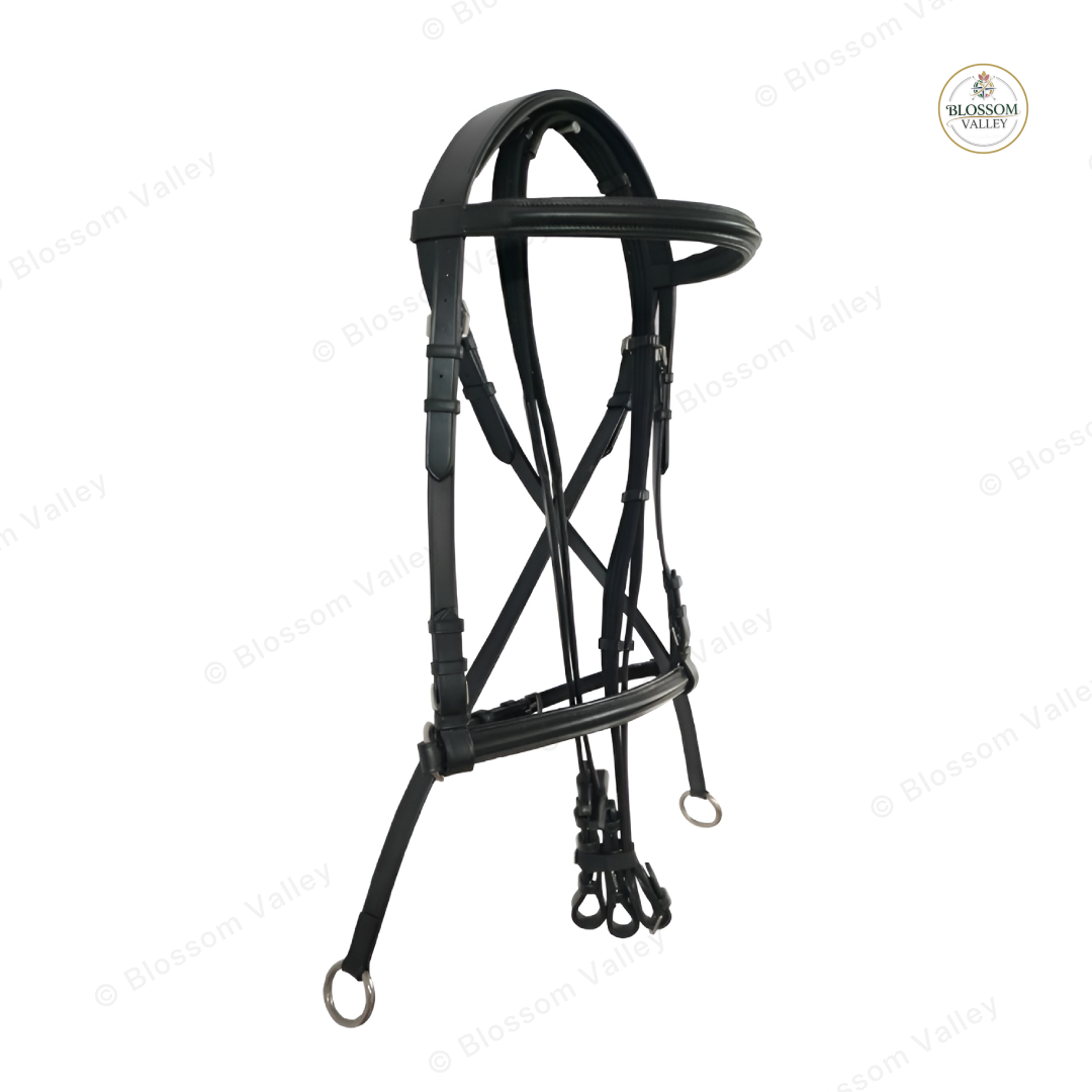 Bitless Padded Bridle with Reins