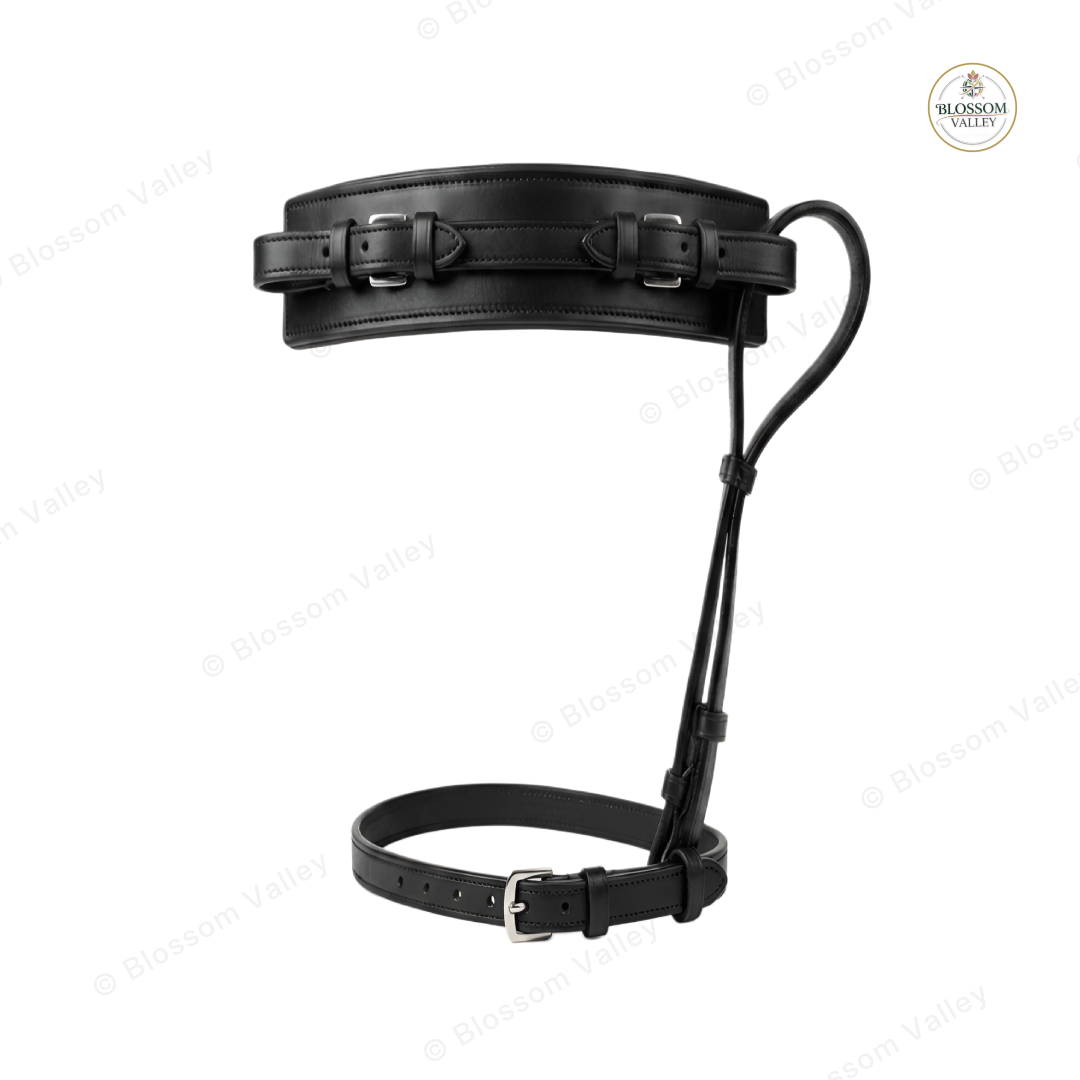 Padded Hackamore Noseband