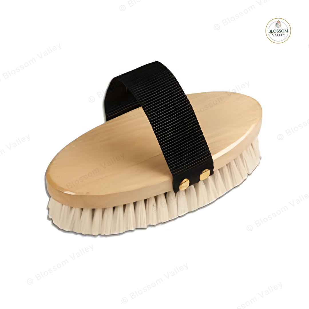 Oval Wood Body Brush