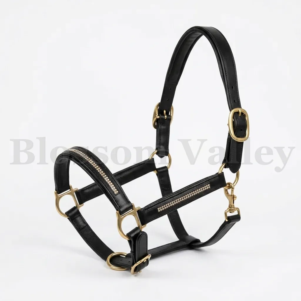 Leather Halter with diamond — image 1 of 3
