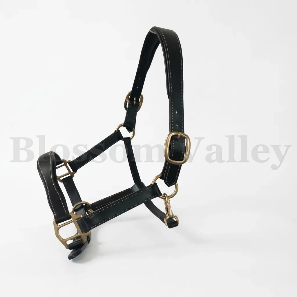 Leather Halter — image 1 of 3