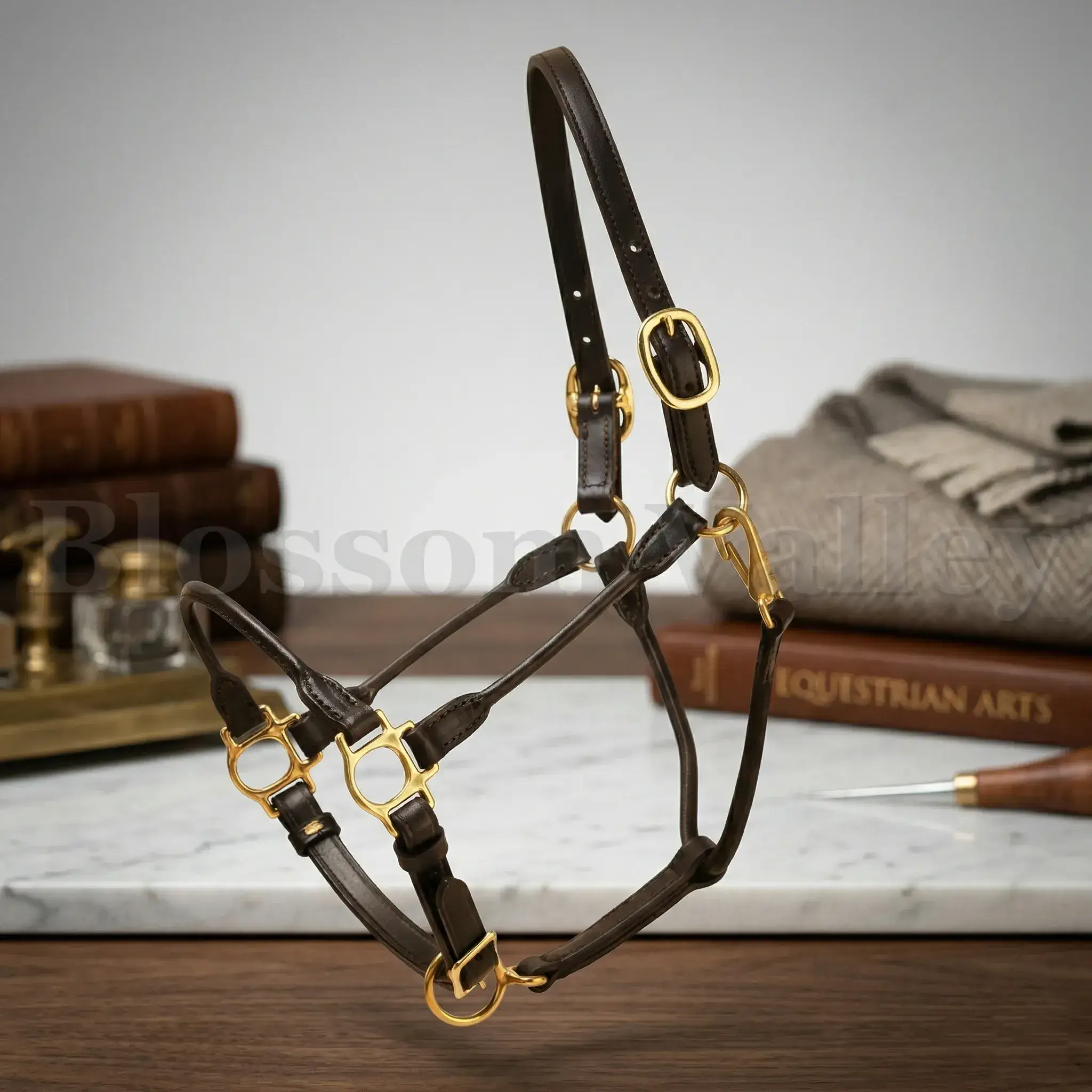 Round Leather Halter — image 1 of 4