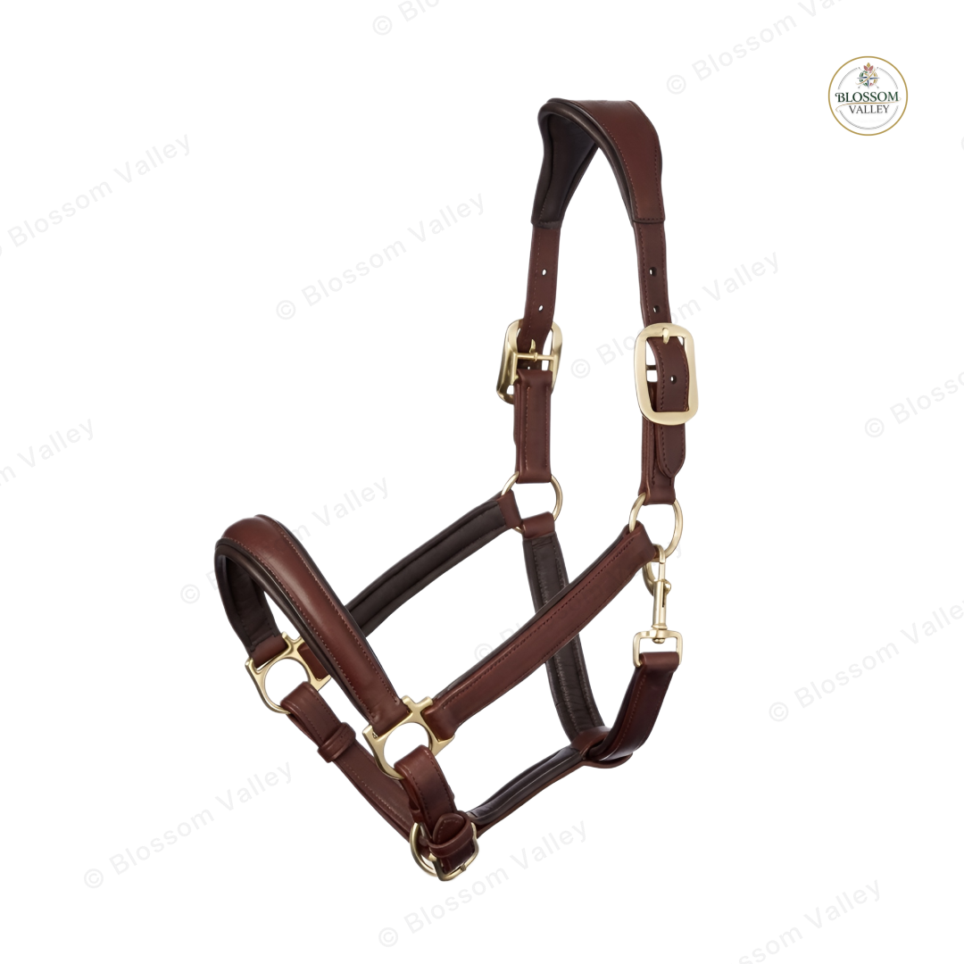 Padded Drop Nose Leather Halter