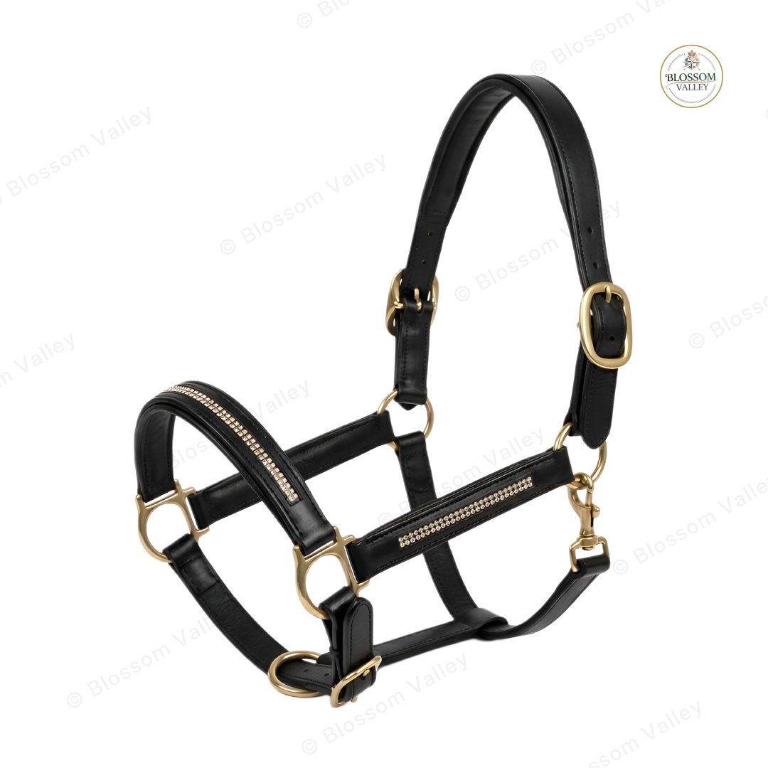 Two Row Diamond Inlay Halter