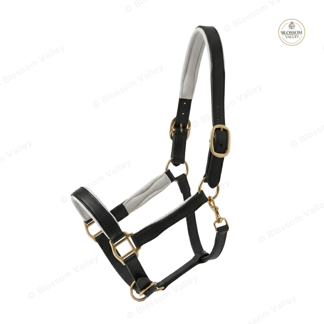 Contrast Lined Single Buckle Halter