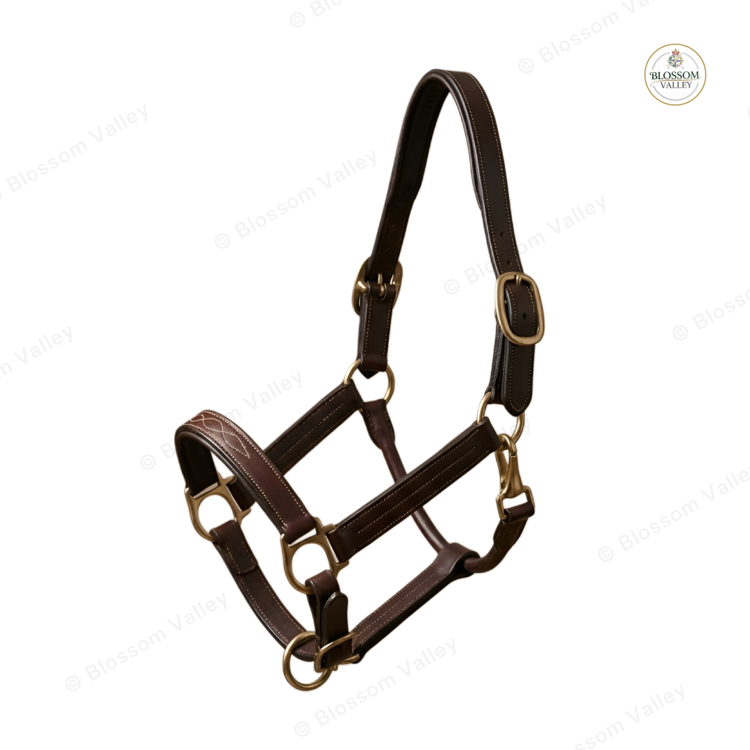 Fancy Stitch Drop Nose Halter