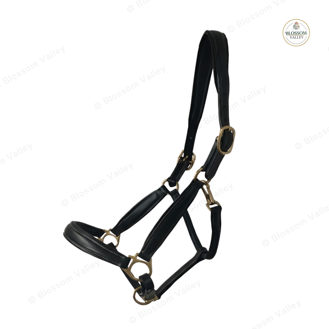Soft Padded Snap Throatlash Halter