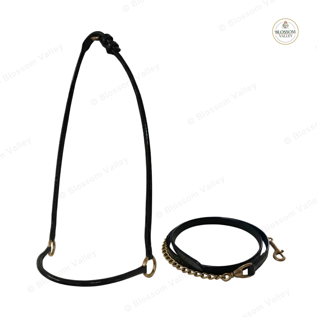 Patent Show Halter with Chain Lead