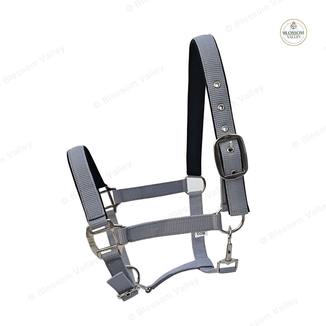 Neoprene Lined Nylon Halter