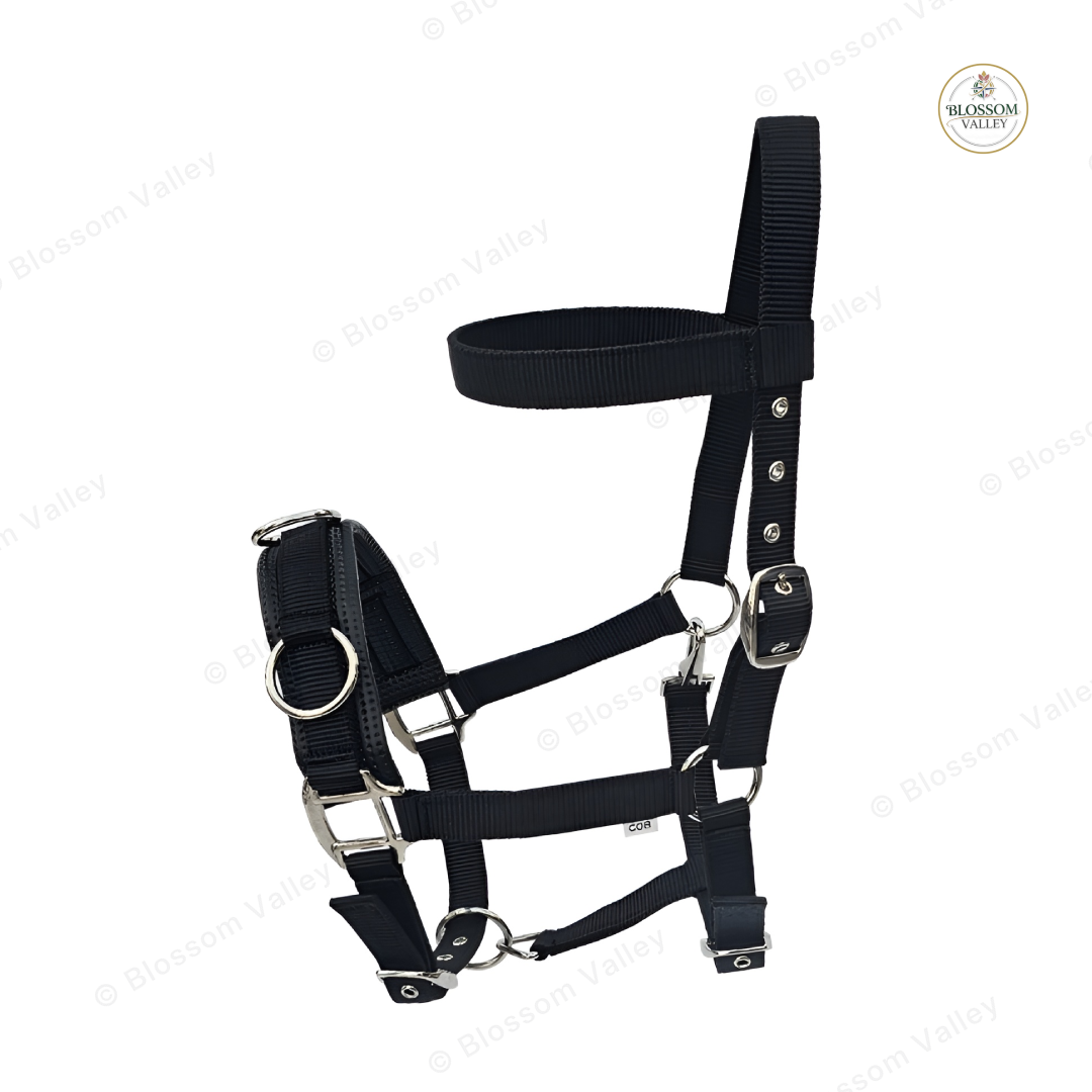 Three Ring Padded Lunging Cavesson