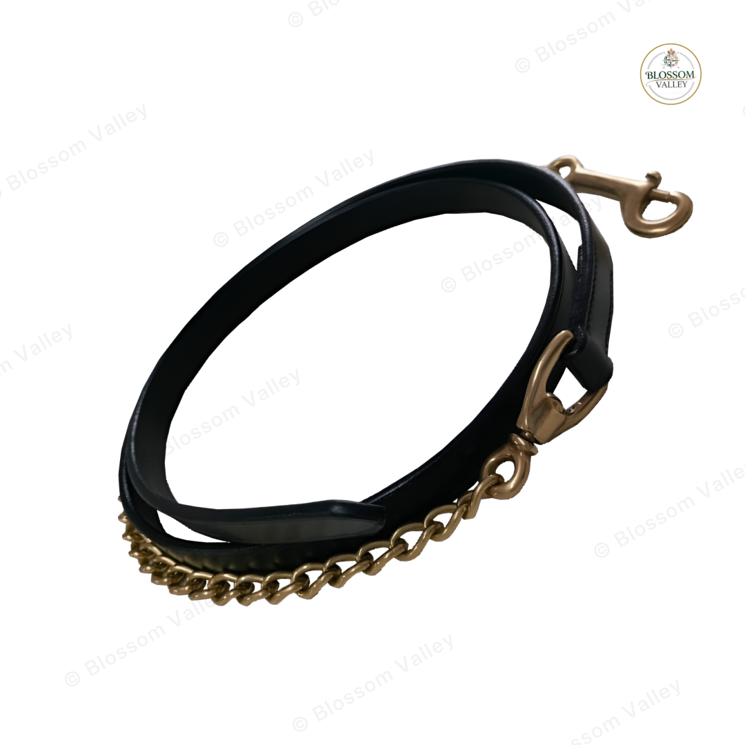 Brass Chain Leather Lead