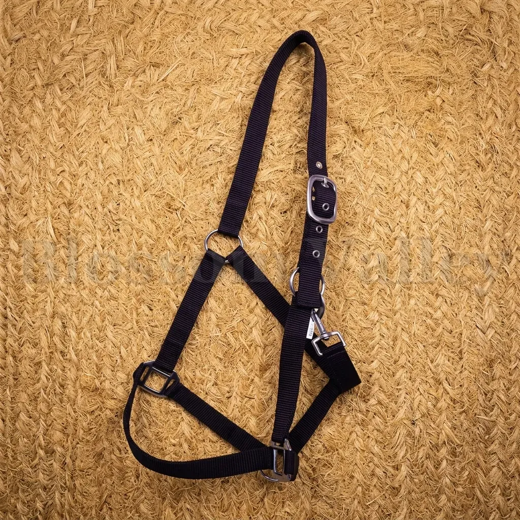 P.P. Halter — image 1 of 4