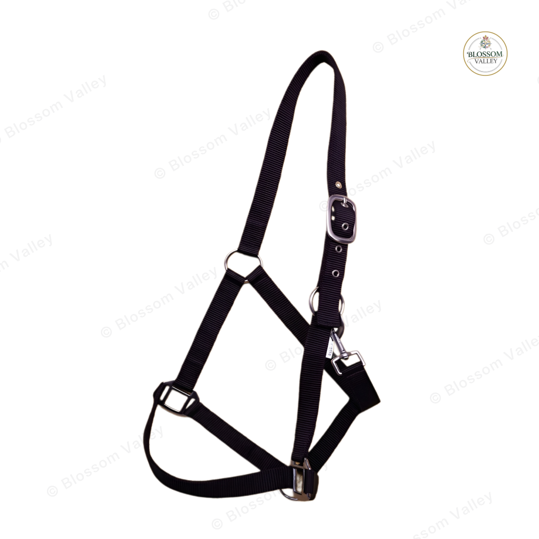 Plain Unpadded PP Halter