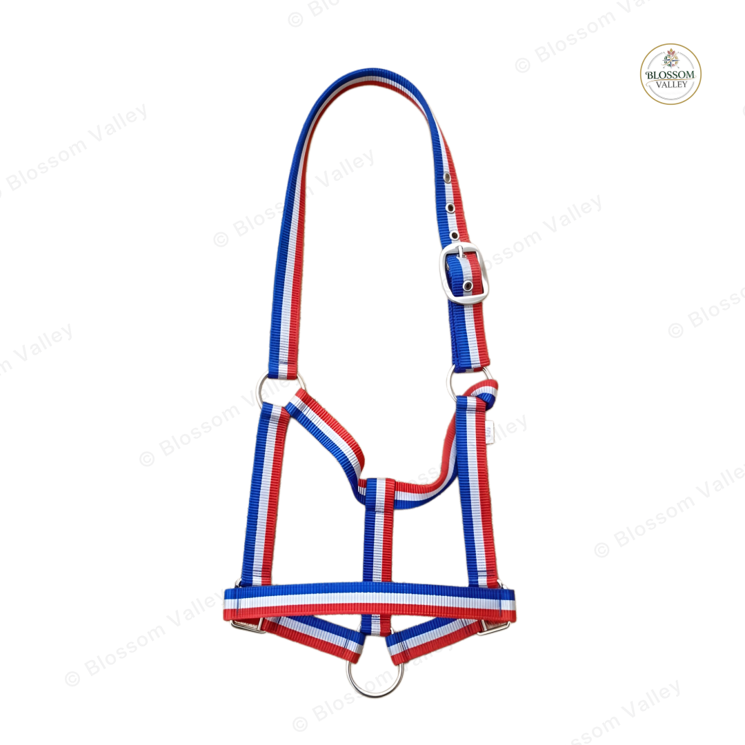 Flag Print PP Halter
