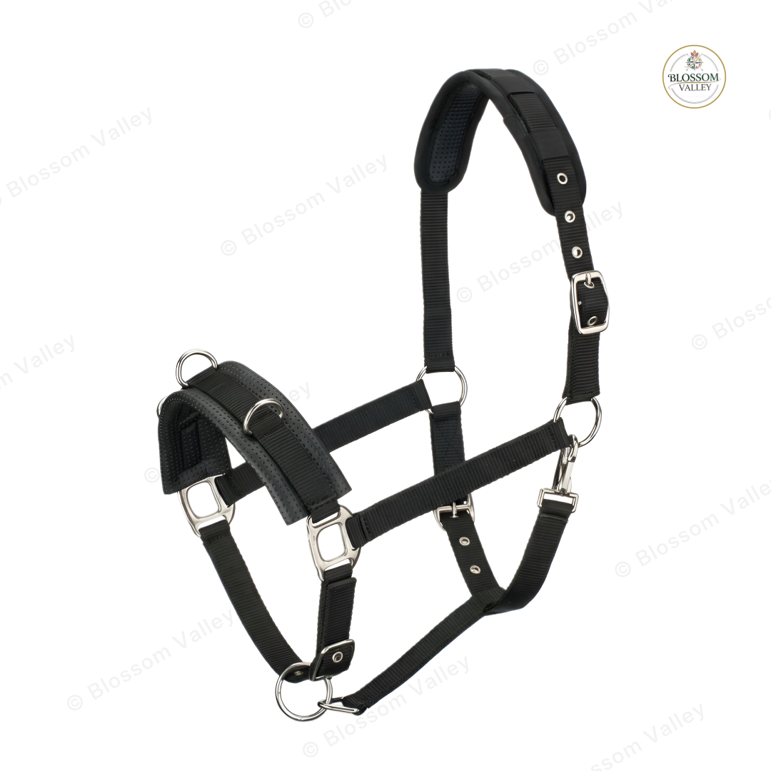 Padded Cross Under Bitless Halter