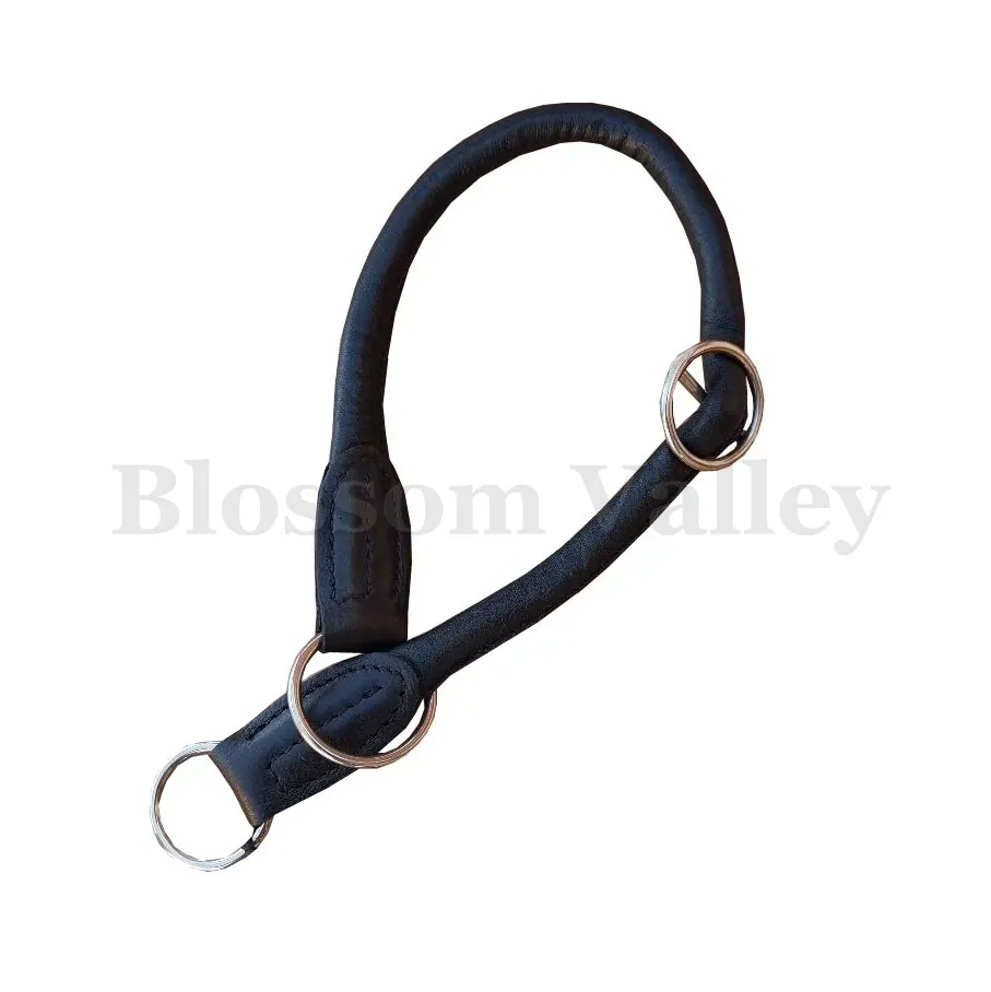 Round Dog Collar — image 1 of 2