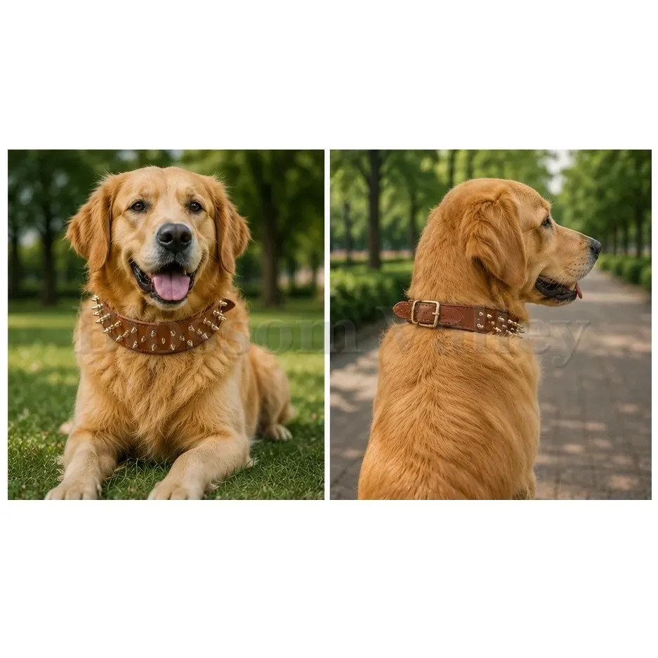 Dog Collar with Long Stud — image 2 of 2