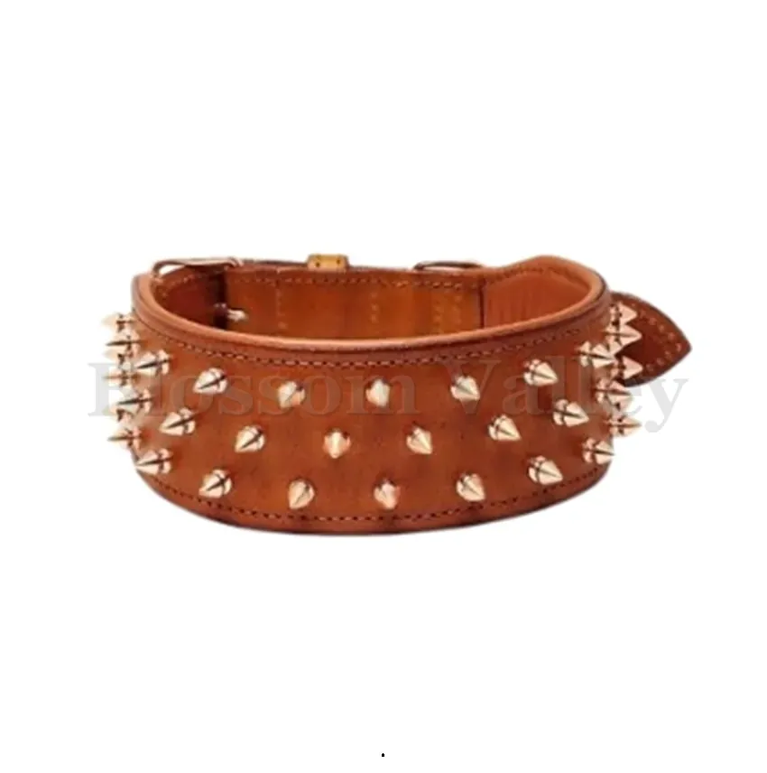 Dog Collar with Long Stud — image 1 of 2