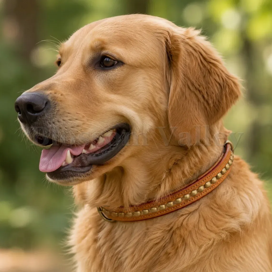 Clincher Padded Dog Collar — image 2 of 2