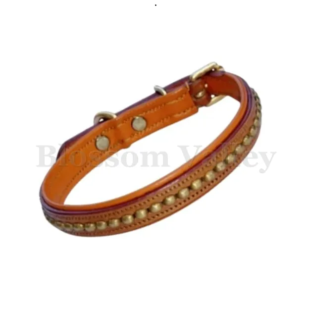Clincher Padded Dog Collar — image 1 of 2