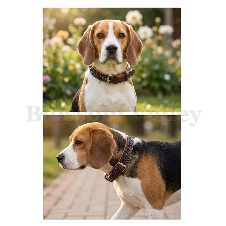 Chain Dog Collar — image 2 of 2