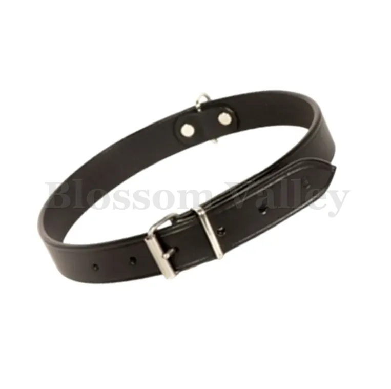 Flat Dog Collar — image 1 of 2