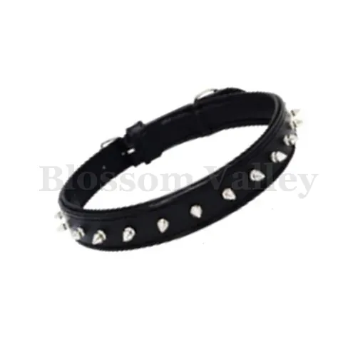 Dog Collar with Single Line Stud — image 1 of 2