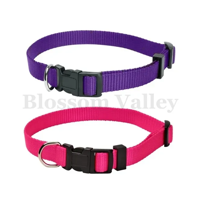 Nylon Dog Collar — image 1 of 3