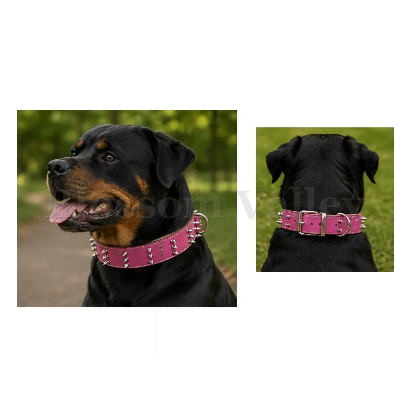 Plain Long Stud Dog Collar — image 2 of 2