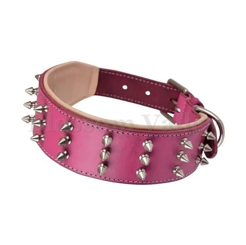 Plain Long Stud Dog Collar — image 1 of 2