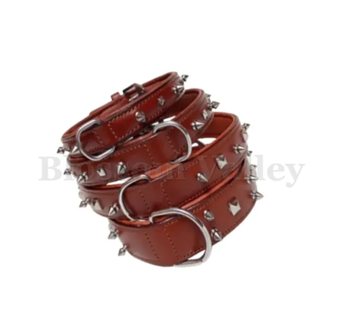Dog Collar with Stud — image 1 of 2