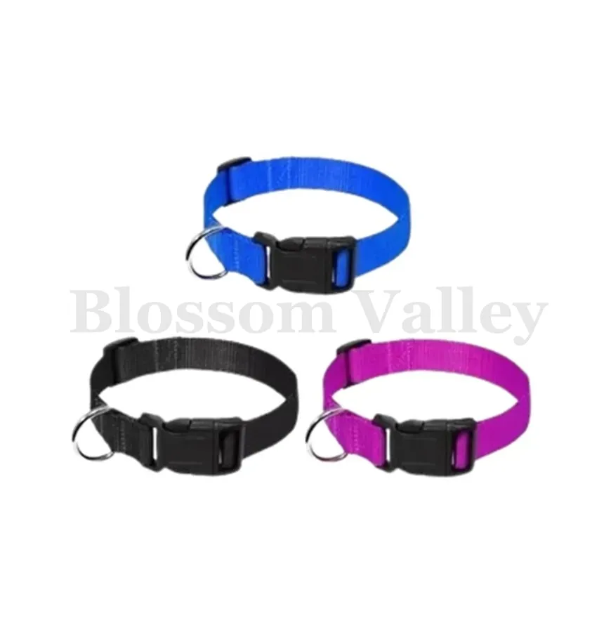 P.P. Dog Collar — image 1 of 2