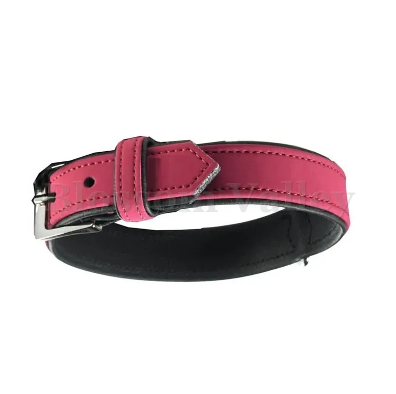 Synthetic Dog Collar — image 1 of 2