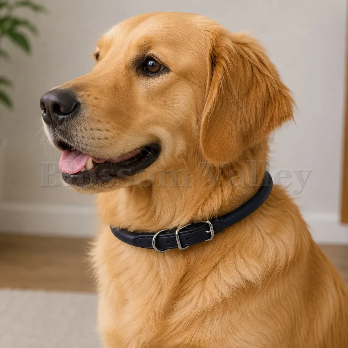 Round Soft Dog Collar — image 3 of 3
