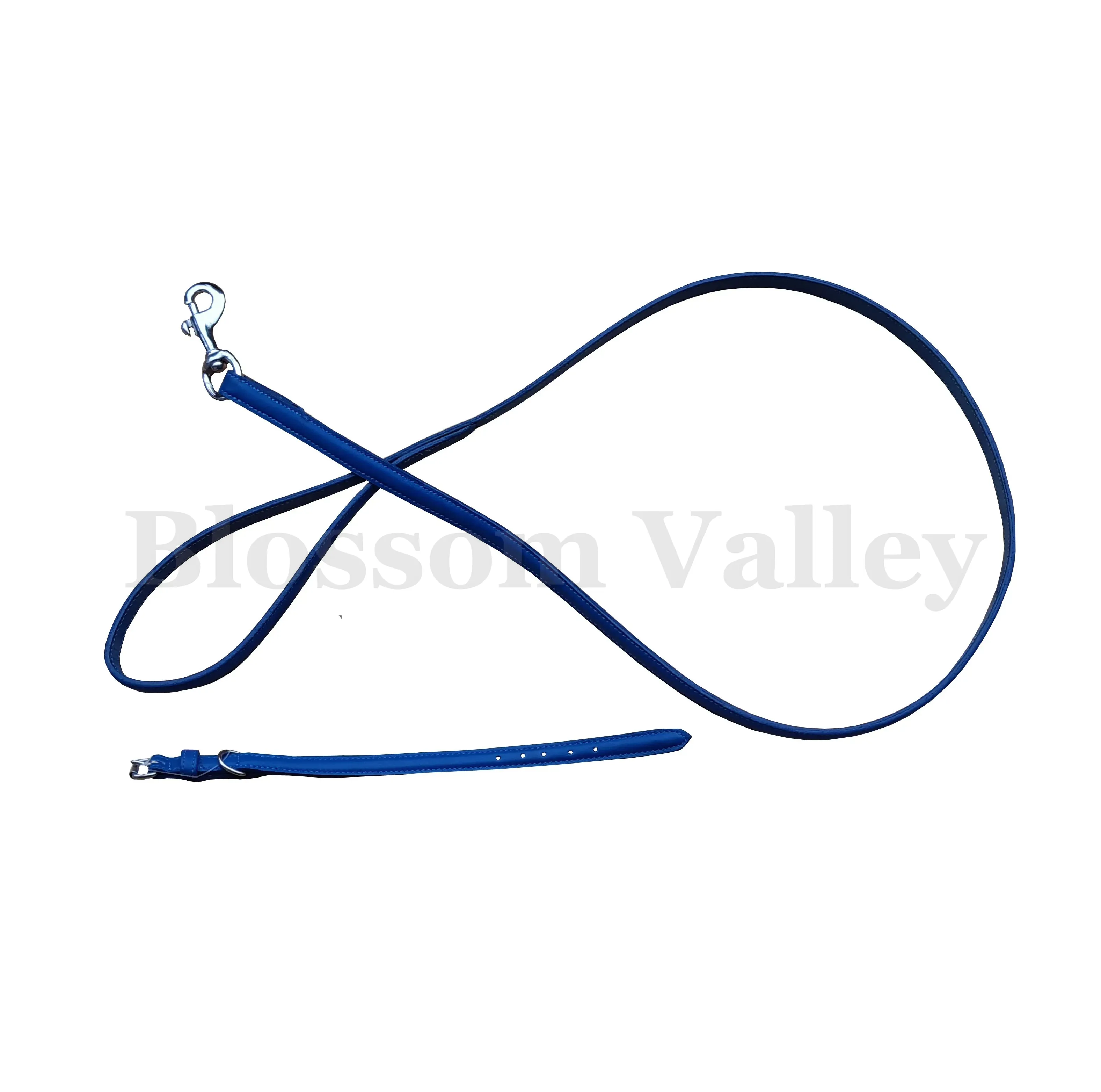 Dog Collar & Lead — image 1 of 2