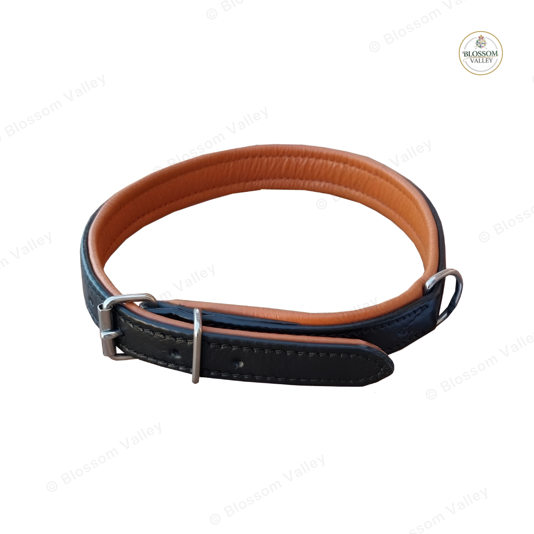Soft Padded Leather Dog Collar