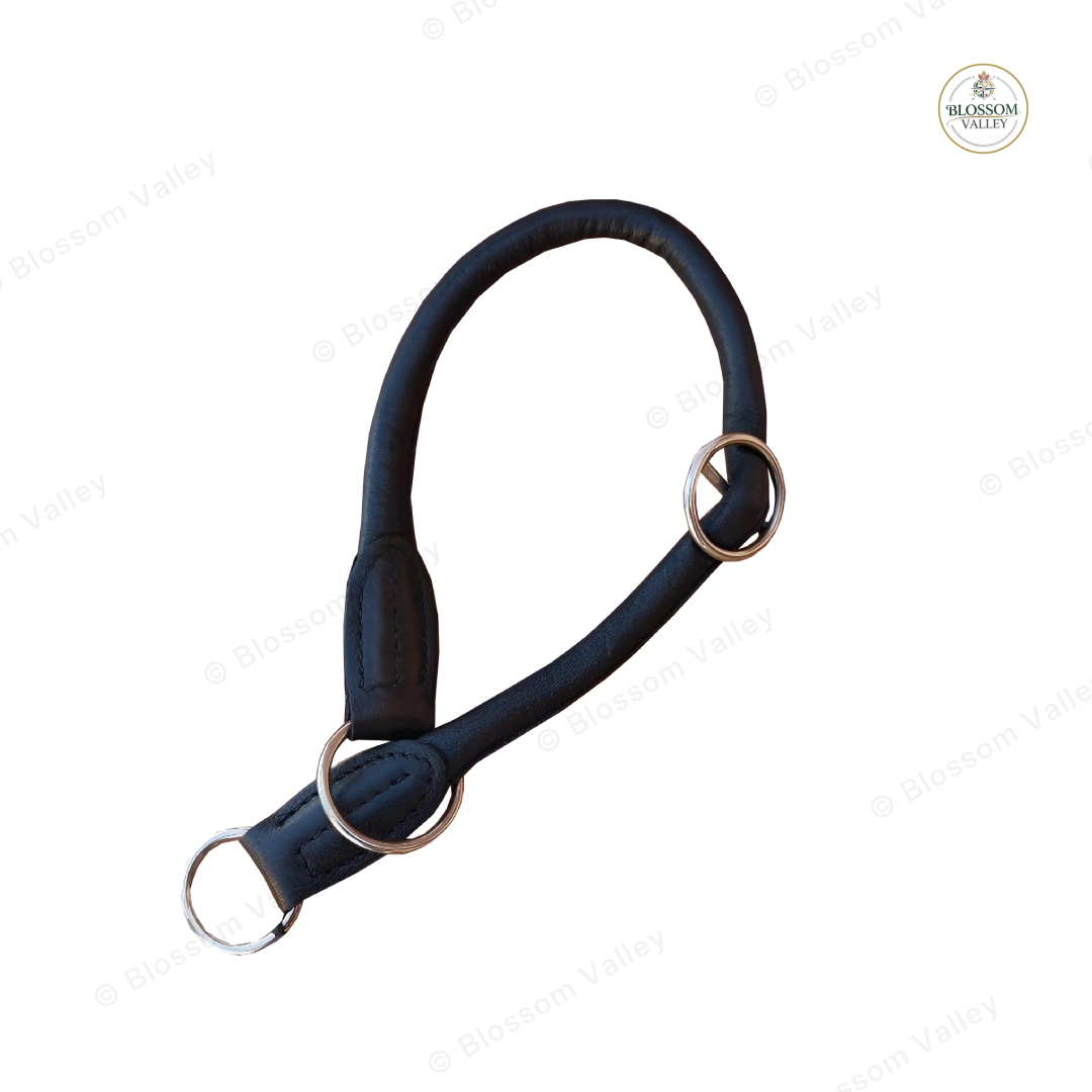 Round Leather Training Dog Collar