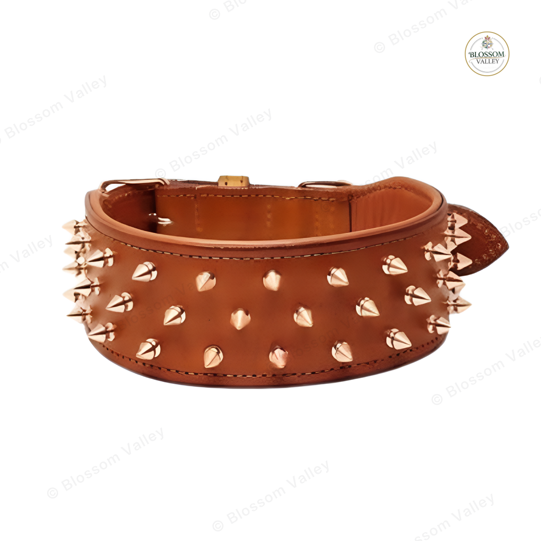 Wide Cone Spike Leather Dog Collar