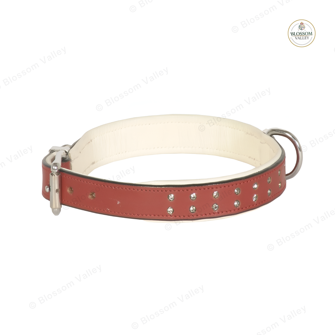 Crystal Padded Leather Dog Collar