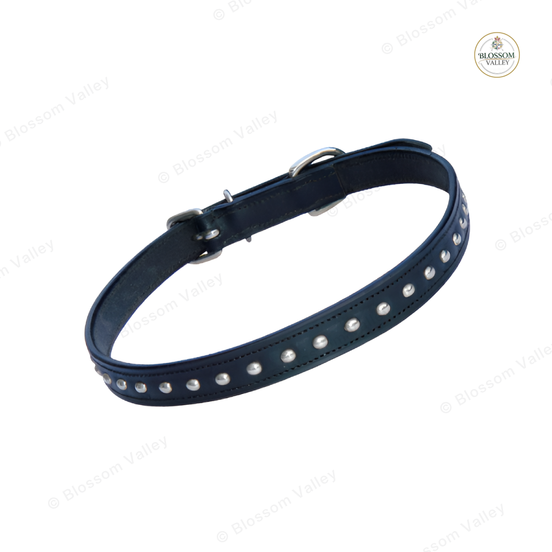 Clincher Stud Leather Dog Collar