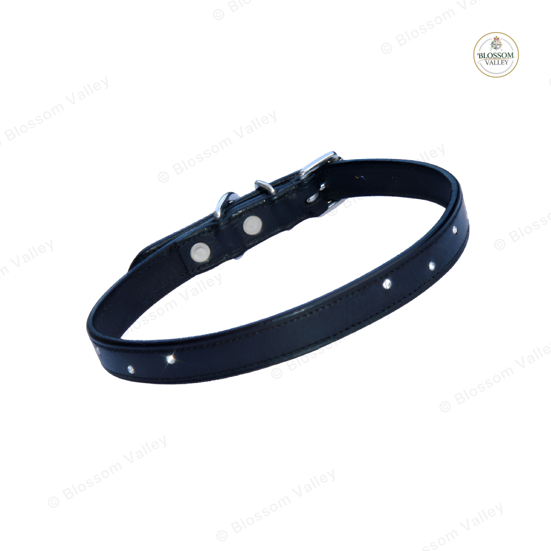 Flat Crystal Leather Dog Collar