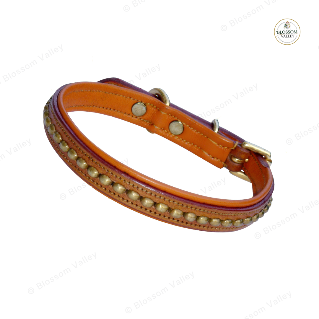 Egg Clincher Padded Dog Collar