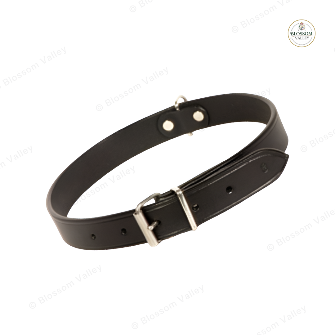 Plain Flat Leather Dog Collar