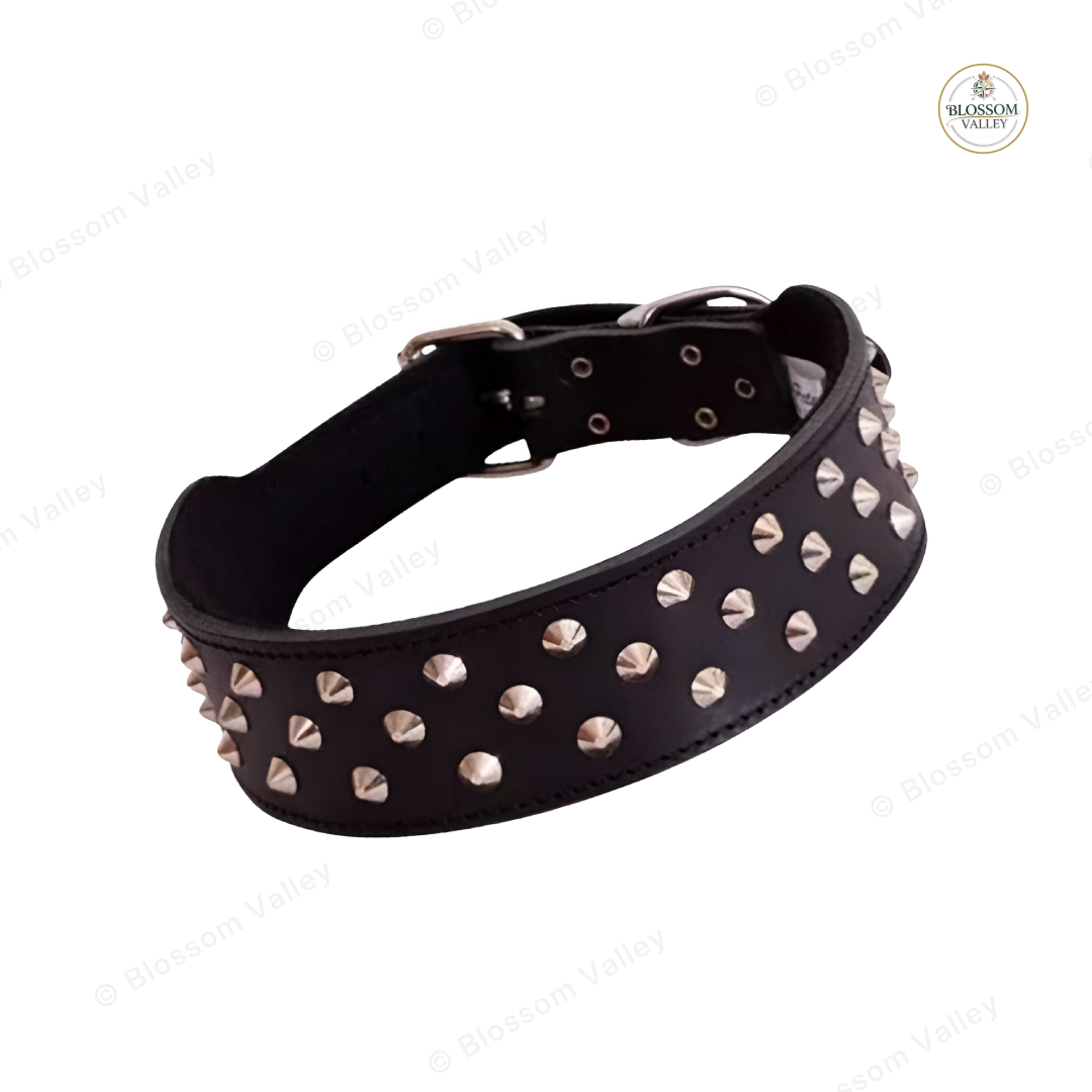 Wide Mixed Stud Leather Dog Collar