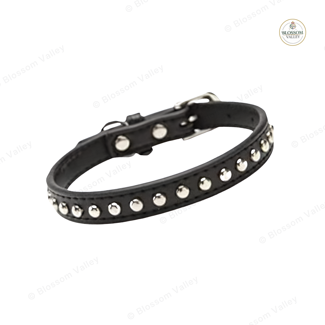 Dome Stud Padded Dog Collar