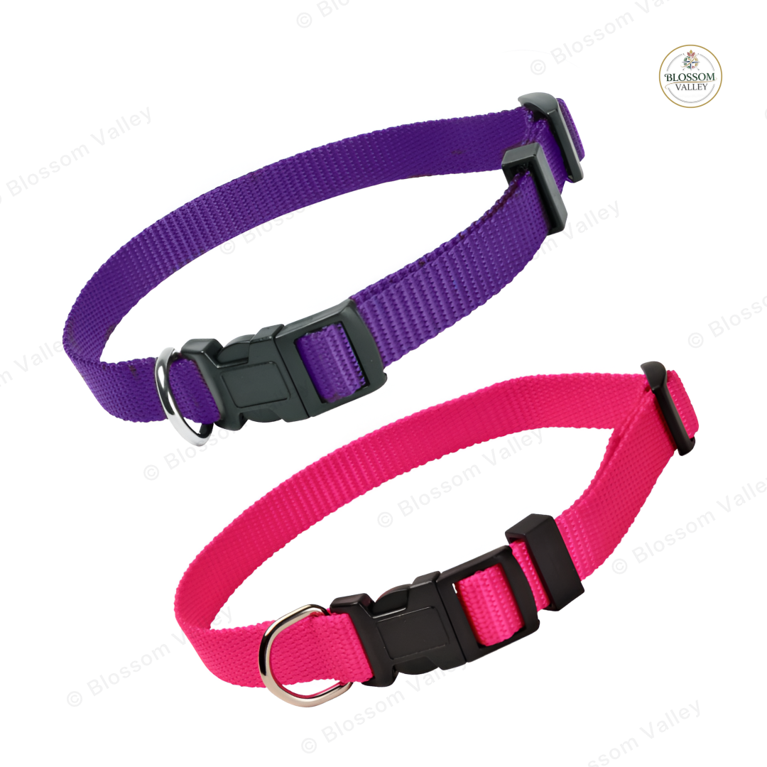 Plain Nylon Side-Release Dog Collar